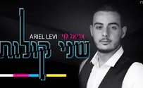 אריאל לוי מפציע בשני קולות