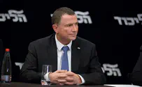 Knesset Speaker: 'Only unity government will prevent elections'