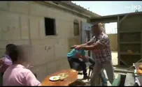 רובים ודובדבנים         