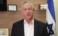 'Netanyahu is turning every stone to promote elections'