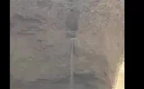 צפו: שיטפון במפל נחל ערוגות