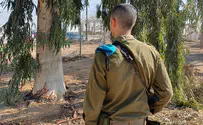 חוד החנית של קציני היבשה