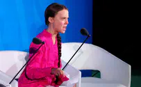 Грета Тунберг не поставит всех к стенке