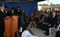 הר געש ציוני         
