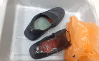 שמונה ציפורים בתוך הנעליים
