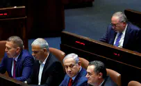 Are MKs delegates of parties or representatives of the people?