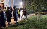 Monsey stabber charged with hate crimes