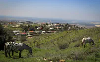 'Dangerous police provocation' in Bat Ayin