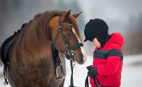 Golan Heights: 5-year-old killed after being thrown from horse