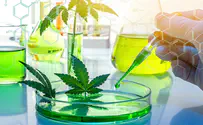 BDS attempts to stop Medicinal Herbs conference in Israel