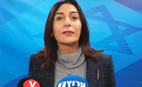 «Вся идея звучит как галлюцинация»