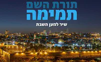 עטיפת הסינגל תורת ה' תמימה: מחאה שבתית מוזיקלית