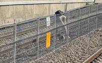 צילום: רכבת ישראל דרמה בתחנת הרכבת