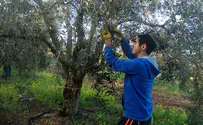 ללמוד במרחבים             