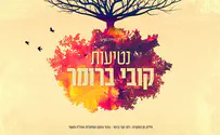 קובי ברומר בסינגל חדש - 'נטיעות'