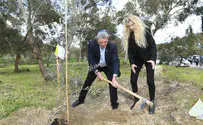 הרב פרץ: גבעה יפה וכואבת