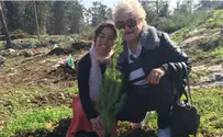 "האילנות דומים לנו הניצולים"