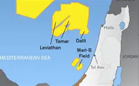 Here's what Israel should do with the billions from natural gas sales