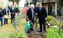 First tree at US Jerusalem Embassy