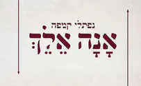 אנה אלך- נפתלי קמפה מפתיע באלבום חדש
