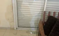 תיעוד: אלימות בקהילת תורת החיים