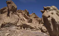 Land is holy