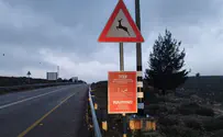 Предупреждающие знаки по всей Иудее и Самарии. Фото