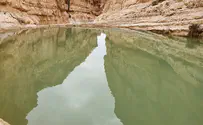 כאפיקים בנגב - 'גבי עתק' ממעוף הרחפן
