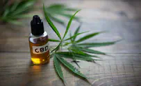 5 Key Differences Between CBD and CBDA