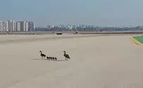 משפחה על מסלול ההמראה בנתב"ג