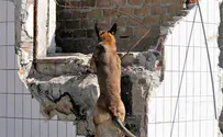 Israel Dog Unit continues high-risk searches