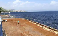 הכנרת עלתה ב-6 ס"מ בסוף השבוע