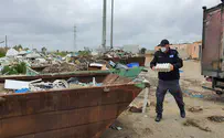אלעד: אלפי ביצים הושמדו
