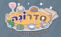 צילום: סדרונה הזדמנות נדירה "לשחק" את ליל הסדר