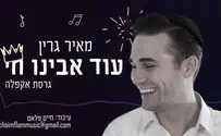 עטיפת הסינגל מאיר גרין בגרסת אקפלה: עוד אבינו חי