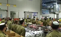 Watch: IDF soldiers sing 'Ani Maamin'