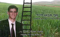 לנטוע שמיים - חיי הרב אבי סבאג הי"ד