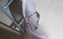 לא נסבול את ירי הזיקוקים והעפיפונים