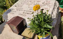 מכתב אישי על קברו של כל נופל