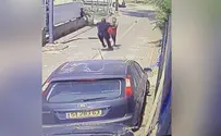 «Что я должен был делать?». Новое видео из Рош ха-Аина