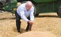 'Without agriculture, Israel has no independence'