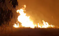 Forest fire breaks out in northern Israeli city