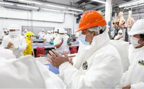 Israeli rabbis in Argentina give US kosher meat market a boost