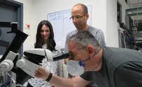 Israel only non-US winner in neuroscience data competition