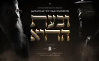 פריד ומרקוס בשיר על תקופת הקורונה