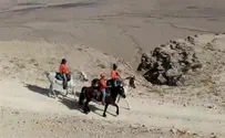 מחלצים ללא הפסקה     