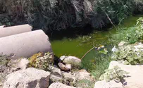 המשרד להגנת הסביבה מתעלם מפגיעה בנחל