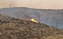 Spate of massive arson attacks endangers residents and livestock