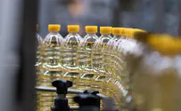 'Canola oil' turns out to be sunflower oil