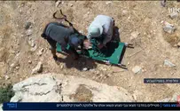 מבצע במבי בלב המדבר            
